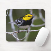 Kinney Landkreis, Texas. Warbler Mousepad (Mit Mouse)