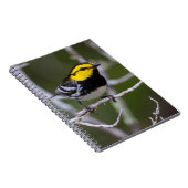 Kinney Landkreis, Texas. Warbler Notizblock (Rechte Seite)