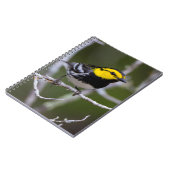 Kinney Landkreis, Texas. Warbler Notizblock (Linke Seite)