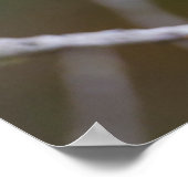 Kinney Landkreis, Texas. Warbler Poster (Ecke)