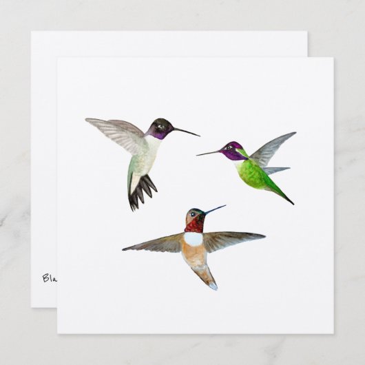 Kinnige, Rufous und Anna's Hummingbirds Dankeskarte (Vorne/Hinten)