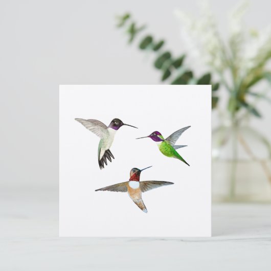 Kinnige, Rufous und Anna's Hummingbirds Dankeskarte (Stehend Vorderseite)