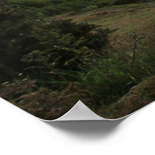 Kinnoull Hill View, Perth Poster (Ecke)