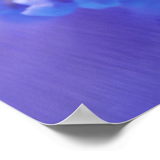 Kinofilm, Popcorn & Tickets Poster (Ecke)