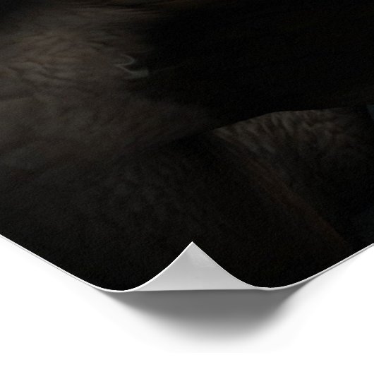 'Kinship'-Print Poster (Ecke)