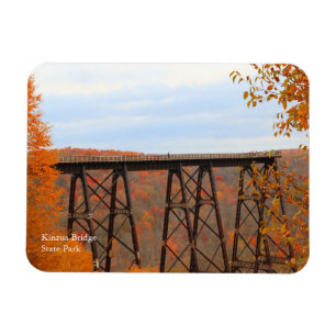 Kinzua Bridge Colorful Fall Scene Souvenir Kühlsch Magnet