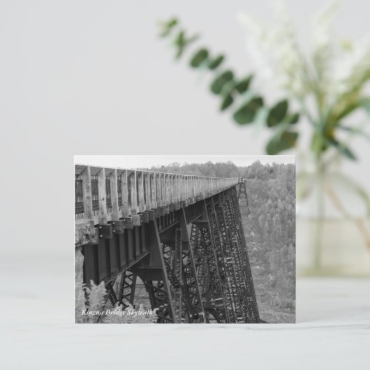 Kinzua Bridge Skywalk Postkarte (Stehend Vorderseite)