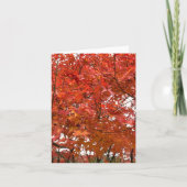 Kioto Herbstverläufe Karte (Vorderseite)