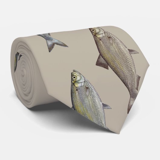 KIPPER HERRING FISH TAN KRAWATTE (Gerollt)