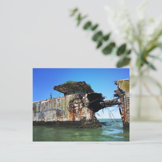 Kiptopeke Postkarte (Stehend Vorderseite)