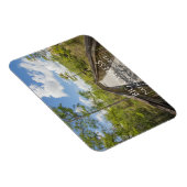 Kirby Storter Boardwalk, Big Cypress, Florida Magnet (Rechte Seite)