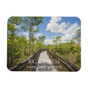 Kirby Storter Boardwalk, Big Cypress, Florida Magnet