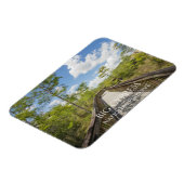 Kirby Storter Boardwalk, Big Cypress, Florida Magnet (Linke Seite)