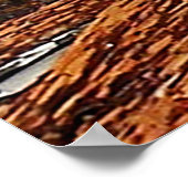 Kirche der Unbefleckten Empfängnis Gerahmt Print Poster (Ecke)