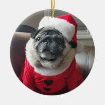 Kirche Santa Pickles