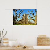 Kirche Sint Anna ter Muiden in Sluis Poster (Küche)