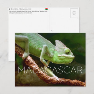 Kirindy, Madagaskar Reise-Postkarte Postkarte