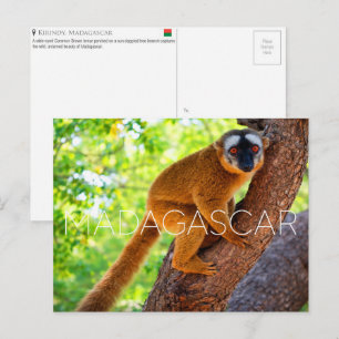 Kirindy, Madagaskar Reise-Postkarte Postkarte