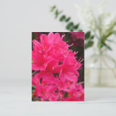 Kirishima Azalea Postkarte (Stehend Vorderseite)