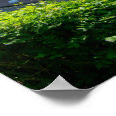 Kirklees Stadium, Huddersfield Poster (Ecke)