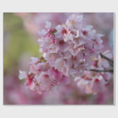Kirrblüte im März Geschenkpapier (Flach)