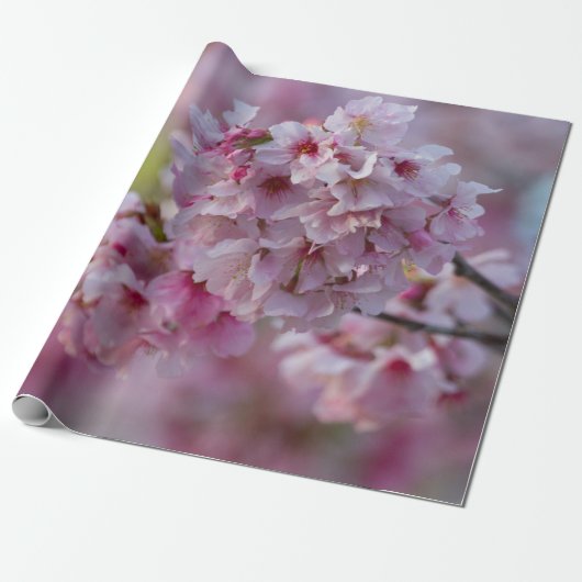 Kirrblüte im März Geschenkpapier (Ungerollt)