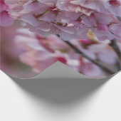 Kirrblüte im März Geschenkpapier (Ecke)