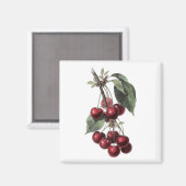KIRSCH RETRO MAGNET (Vorderseite/Rückseite)