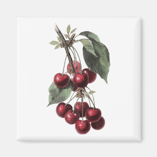 KIRSCH RETRO MAGNET (Vorne)