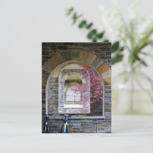 Kirschbaum durch die Bögen Postkarte (Stehend Vorderseite)