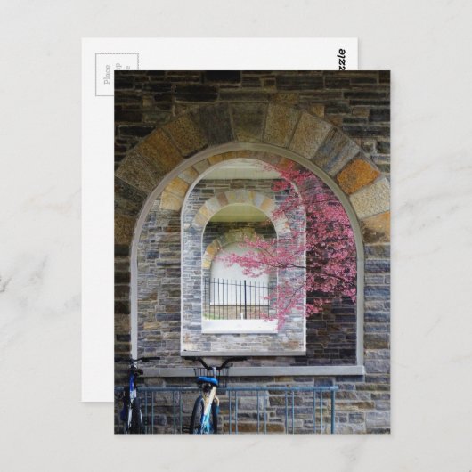 Kirschbaum durch die Bögen Postkarte (Vorne/Hinten)