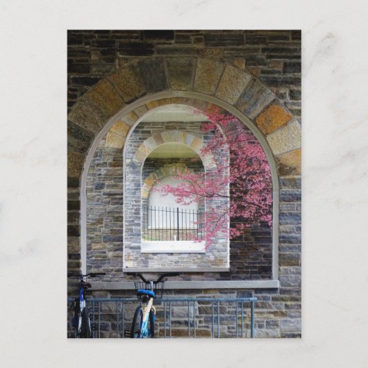 Kirschbaum durch die Bögen Postkarte (Vorderseite)
