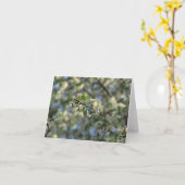 Kirschbaum-im Frühjahr leere Karte #2 02 (Gelbe Blume)