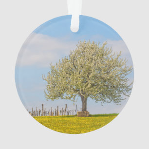 Kirschbaum im Frühjahr Ornament