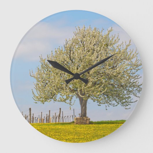 Kirschbaum im Frühling Große Wanduhr (Vorderseite)