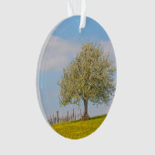 Kirschbaum im Frühling Ornament (Vorderseite)