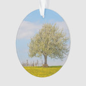 Kirschbaum im Frühling Ornament (Vorderseite)