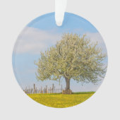 Kirschbaum im Frühling Ornament (Vorderseite)