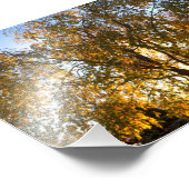 Kirschbaum im Herbst wischen, hinterlist Fotodruck (Ecke)