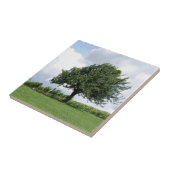 Kirschbaum im Sommer Fliese (Seite)