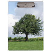 Kirschbaum im Sommer Klemmbrett (Vorderseite)