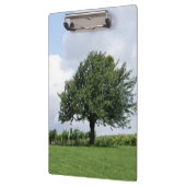 Kirschbaum im Sommer Klemmbrett (Links)