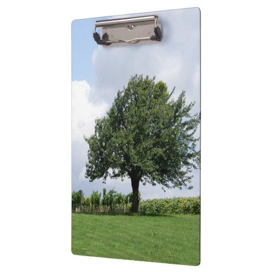 Kirschbaum im Sommer Klemmbrett (Links)