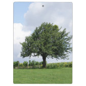 Kirschbaum im Sommer Klemmbrett (Rückseite)