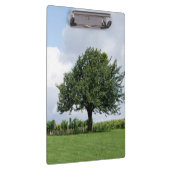 Kirschbaum im Sommer Klemmbrett (Rechts)