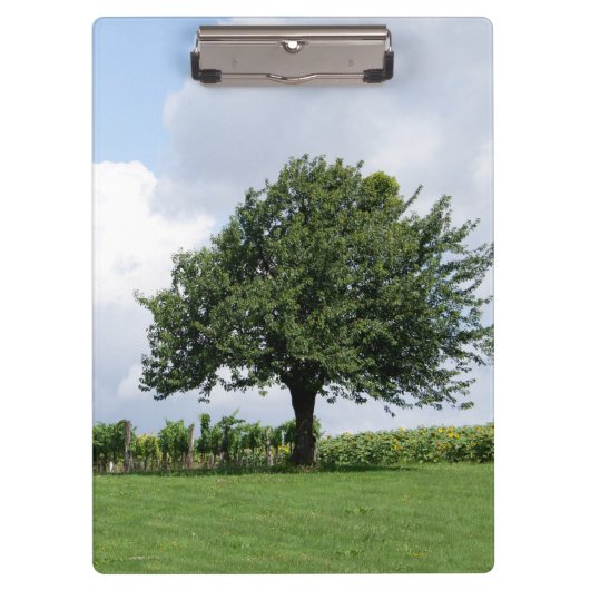 Kirschbaum im Sommer Klemmbrett (Vorderseite)