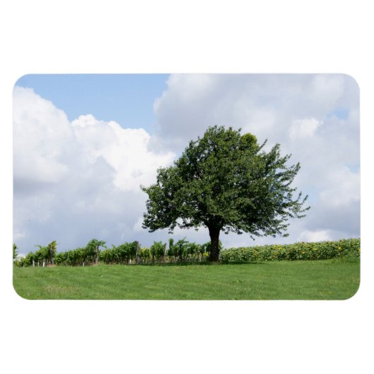 Kirschbaum im Sommer Magnet (Horizontal)