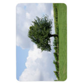 Kirschbaum im Sommer Magnet (Vertikal)