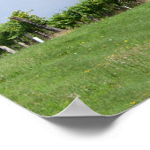 Kirschbaum im Sommer Poster (Ecke)