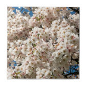 Kirschbaum in Bloom, Oregon Fliese (Vorderseite)